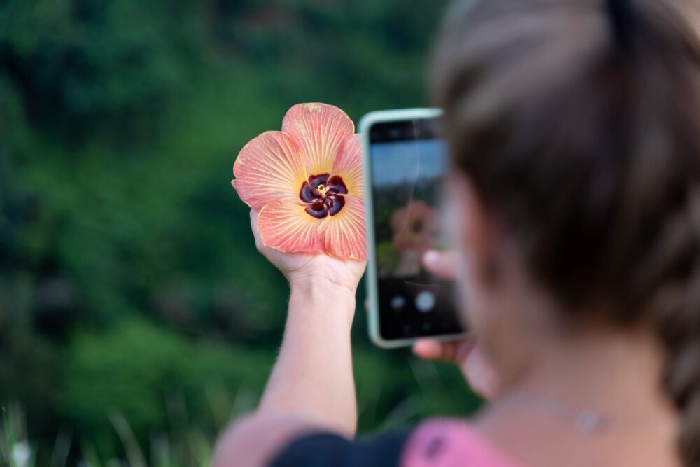 Top 10 app chụp ảnh sống ảo đẹp nhất trên iPhone